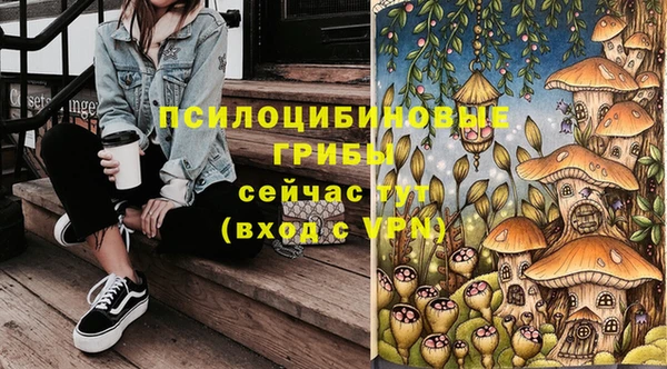 МДПВ Заволжье